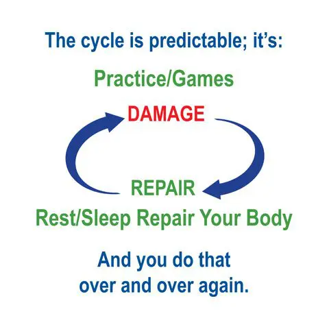 A diagram of the cycle for repair and practice.